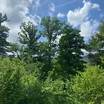 Coquette Maison Neuve De Plain Pied Au Coeur Des Hautes Vosges, Thiéfosse