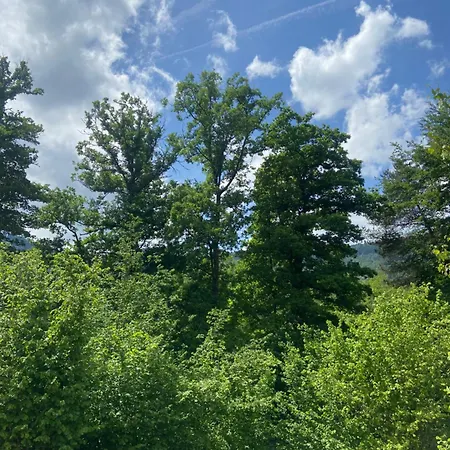 Coquette Maison Neuve De Plain Pied Au Coeur Des Hautes Vosges, Thiéfosse