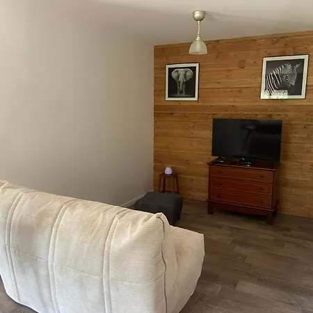 Coquette Maison Neuve De Plain Pied Au Coeur Des Hautes Vosges, * Thiéfosse