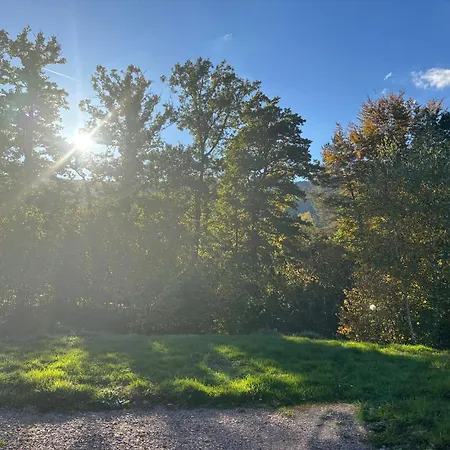 Coquette Maison Neuve De Plain Pied Au Coeur Des Hautes Vosges, Holiday home