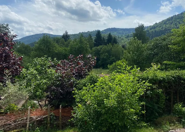 Holiday home Coquette Maison Neuve De Plain Pied Au Coeur Des Hautes Vosges,