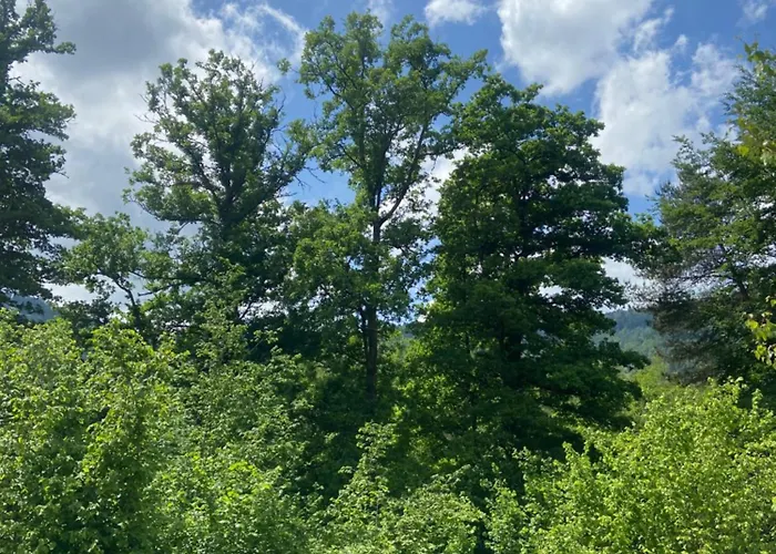 Coquette Maison Neuve De Plain Pied Au Coeur Des Hautes Vosges, Thiefosse