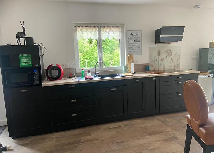 Coquette Maison Neuve De Plain Pied Au Coeur Des Hautes Vosges, Holiday home *