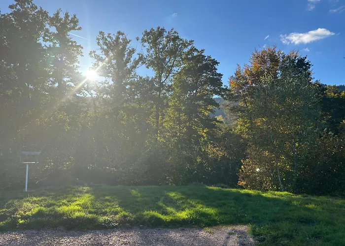 Coquette Maison Neuve De Plain Pied Au Coeur Des Hautes Vosges, Holiday home